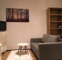 Möbliertes 1 Zi.Apartment Innenstadtlage mit Pkw Stellplatz - Pforzheim Nordstadt