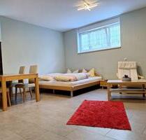 Möblierte 1-Zimmer-Souterrain-Wohnung mit geh. Innenausstattung - Kirrweiler (Pfalz)
