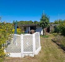 Schrebergarten - 500,00 EUR Kaltmiete, ca.  0,00 m² in Wolfenbüttel (PLZ: 38300)