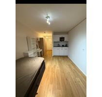 Schöne geräumige Wohnung für Oktoberfest pro Nacht - München Altstadt-Lehel