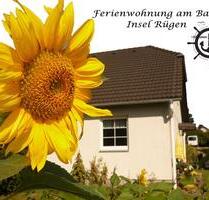 FEWO Ferienwohnung Rügen bis zu 4 Personen zu vermieten - Sagard