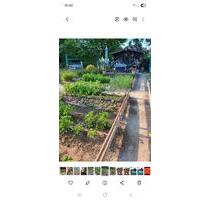 Garten abzugeben - 600,00 EUR Kaltmiete, ca.  0,00 m² in Neuenkirchen (PLZ: 17498)