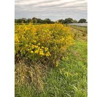 Landwirtschaftliche Fläche in Aiterhofen