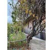 Helle 1-Zimmer-Wohnung - barrierefrei mit Blick ins Grüne - Velden