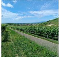 Sehr schöne, geräumige DHH in Ihringen am Kaiserstuhl