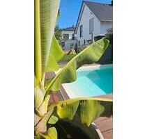 Stadtvilla in Erlensee - 950.000,00 EUR Kaufpreis, ca.  147,00 m² in Erlensee (PLZ: 63526)