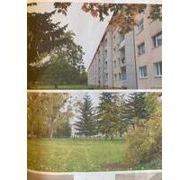 3 ZimmerWohnung Oschatz, Dr. Külz-Strasse - Dahlen