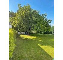 3-Zimmer-DG Wohnung - 750,00 EUR Kaltmiete, in Schorndorf (PLZ: 73614)