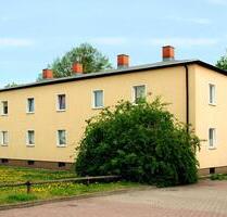 Moderne 1-Raum-Wohnung in Salzelmen zu vermieten - Schönebeck (Elbe)