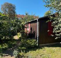 Gepachteter Kleingarten in Dresden Gruna abzugeben