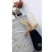 Kosmetik Studio Untermiete - 700,00&nbsp;EUR Kaltmiete, in Berlin (PLZ: 10553) Mitte