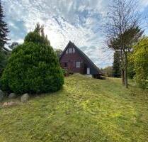 Einfamilienhaus, Wohnkeller, Nurdachhaus, 904m2 Grundstück - Altenmedingen