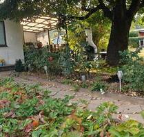 Spätsommer im eigenen Garten - 2.500,00 EUR Kaltmiete, ca.  0,00 m² in Pirna (PLZ: 01796)