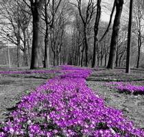 Siedlungshof in Alleinlage - 950.000,00 EUR Kaufpreis, ca.  160,00 m² in Bad Neuenahr-Ahrweiler (PLZ: 53474)