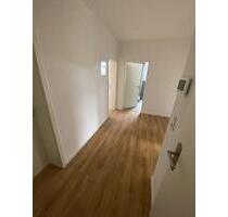 Lichtdurchflutete Wohnung direkt am Küchwald - Chemnitz Altendorf