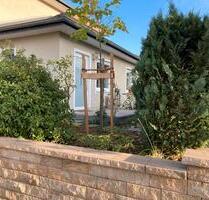 Möblierte Wohnung, 1ZKB - 650,00 EUR Kaltmiete, in Bad Nauheim (PLZ: 61231)