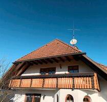 Wohnung zu vermieten - 550,00 EUR Kaltmiete, in Titisee-Neustadt (PLZ: 79822)