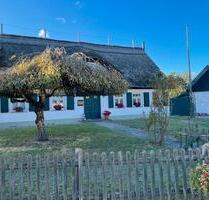 Einfamilienhaus mit Einliegerwohnung zu verkaufen - Korswandt
