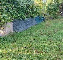 Schöner Garten in Stuttgart Zuffenhausen zu verpachten