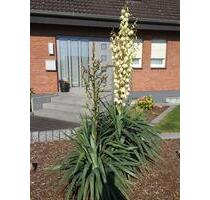 Einfamilienhaus in Bad Oeynhausen-Eidinghausen