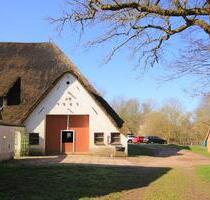 Ferienwohnung unter Reet, Hof Nordsee St Peter Ording - Tating