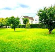 Ruhige 3,5 Zimmer Wohnung nahe Kurpark Bad Driburg