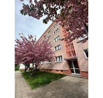 Sanierte und helle 3-Zimmer-Wohnung mit Wannenbad - Dessau-Roßlau