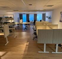 Miete dein Bürotisch, Firmenanmeldung möglich - Berlin Reinickendorf