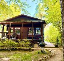 Modernisiertes Ferienhaus Blockhaus im Wald in der Eifel - Blankenheim