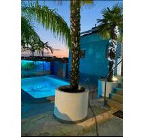 Haus mit Pool Alicante La Marina Torrevieja Costa Blanca - Speyer