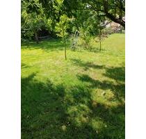 Freizeit Grundstück verpachten - 50,00 EUR Kaltmiete, ca.  0,00 m² in Alfeld (Leine) (PLZ: 31061)
