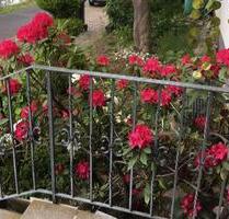 Monteurzimmern - 2.500,00 EUR Kaltmiete, in Bonn (PLZ: 53177) Bad Godesberg