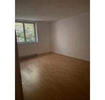 Große helle Wohnung in ruhiger Lage - Krummennaab