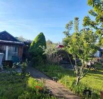 Garten mit Häuschen und komplettem Equipment - Leipzig Mitte