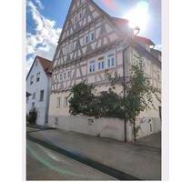 Einzigartiges 1-Zimmer Apartment - Vaihingen an der Enz