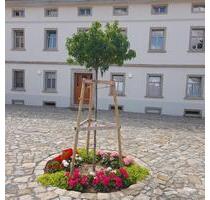 helle komfortable 2-Raumwohnung 55 m² Erdgeschoss Südvorstadt - Bautzen