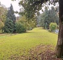Hüttengebiet Grundstück zu verpachten - Kämpfelbach