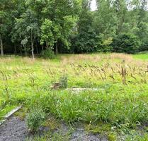 Garten zu verpachten - 50,00 EUR Kaltmiete, ca.  0,00 m² in Tauberbischofsheim (PLZ: 97941)