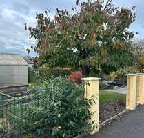 Gepflegter Kleingarten in Engelsdorf - Leipzig Nord