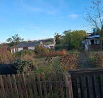 Pachtgarten - 150,00 EUR Kaltmiete, ca.  0,00 m² in Plauen (PLZ: 08527) Altstadt