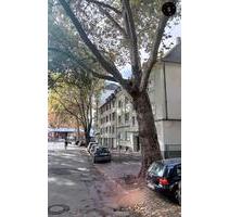 Gemütliche Dachgeschosswohnung in zentraler Lage - Duisburg