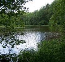 ruhige Zweiraumwohnung in Demen am See - Crivitz