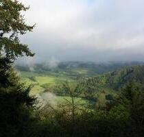 5 ZKB 67744 Hohenöllen - 850,00 EUR Kaltmiete, in Medard (PLZ: 67744)