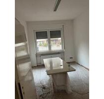 Renovierte 4 Zimmer-Wohnung mit Balkon, 2 Toiletten, neue Küche - Singen (Hohentwiel)