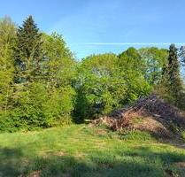 Garten Wald Wochenendgrundstück an der Ostsee zu verpachten - Murchin