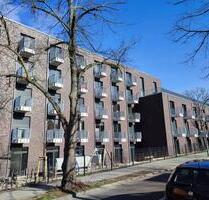 Großes 1-Raumapartment zur Miete in Potsdam Bornstedt - Wentzel Dr. -