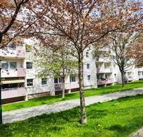 3-Raum-Wohnung mit Balkon und Blick ins Grüne - Chemnitz Kapellenberg