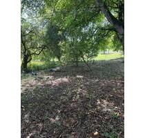 Garten Grundstück Obstbäume Schrebergarten Freizeitgrundstück - Weilburg