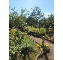 Garten in Lützen abzugeben - 500,00 EUR Kaltmiete, ca.  0,00 m² in Leipzig (PLZ: 04205) West