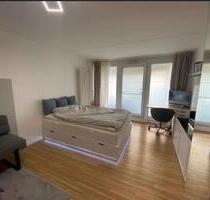 Exklusive 1-Zimmer-Wohnung Regensburg Königswiesen vollmöbliert